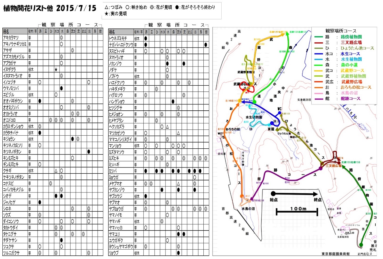 L^@2015.7.16